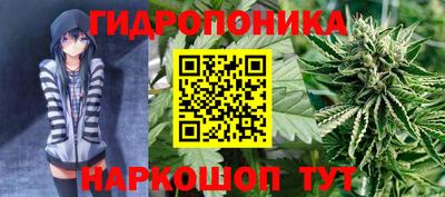 гашик Краснокаменск